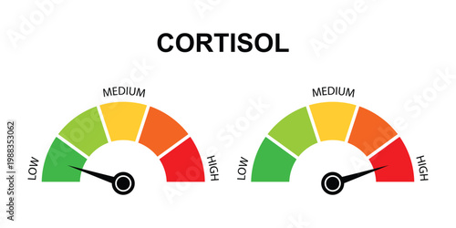 cortisol level meter low to high stress indicator