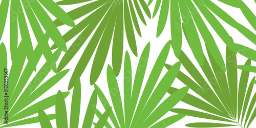 Leaves background with summer fun design concept, abstract illustration with exotic jungle leaves, colorful design, summer background, tropical leaves.Tropical leaf background, palm leaves.