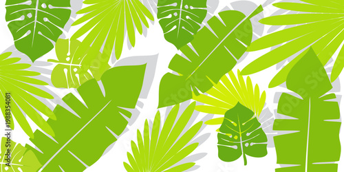 Leaves background with summer fun design concept, abstract illustration with exotic jungle leaves, colorful design, summer background, tropical leaves.Tropical leaf background, palm leaves, monstera