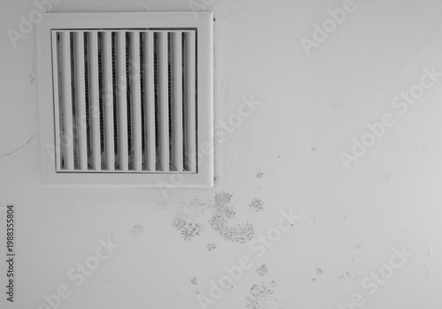 Mold growth near air vent showing humidity and ventilation problem