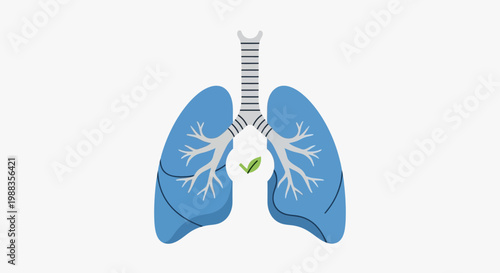 Depicting healthy lungs with a green leaf symbol suggesting respiratory wellness illustration