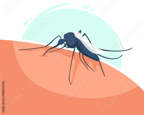 Close up mosquito insect on skin tone background, medical pest and vector borne disease concept in simple clean vector illustration