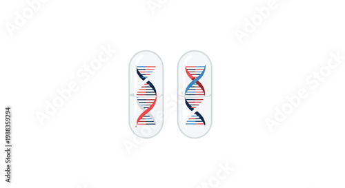 Two vertical transparent capsules featuring contrasting red and blue DNA double helix strands are positioned centrally on a stark white backdrop today.