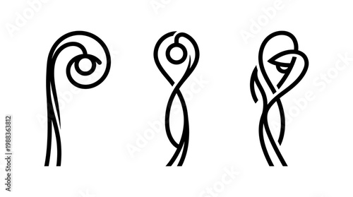 Elegant Black Line Art Depicting Fern Frond Unfurling in Stages.