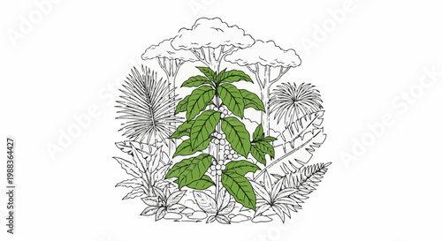 A vibrantly colored coffee plant thrives amidst lush, sketched tropical foliage
