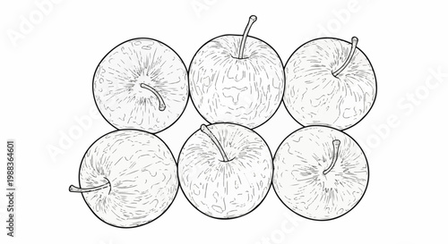 Stylized line art of six apples arranged in two rows