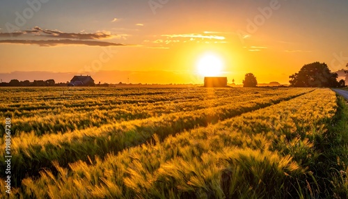 Golden hour illuminates a vast agricultural field with textured crops, road, and buildings. The sun creates a vibrant, warm horizon