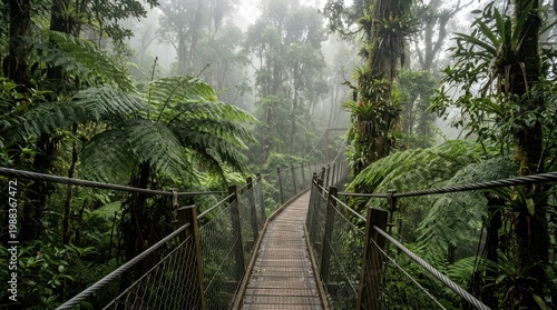 A wooden suspension bridge curves through a foggy rainforest with lush green vegetation on both sides.