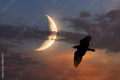 A black bird flies towards a crescent moon in a twilight sky.