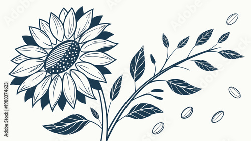 Sunflower drawing with foliage and scattered petals design sunflower botanical