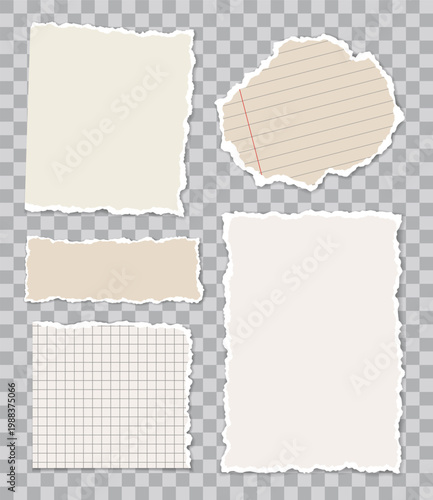 Set of various vector torn or ripped pieces of lined, squared or blank paper with shadows