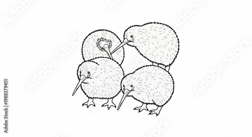 Four kiwi birds with long beaks in a simple black and white sketch