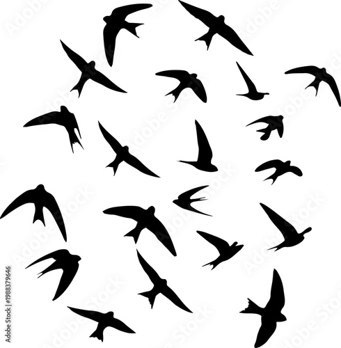 Bird flock silhouette collection. Flying birds isolated on transparent background in clean vector style