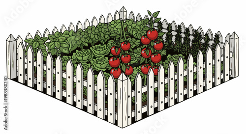 Vibrant raised garden bed with tomatoes, greens, and herbs enclosed by a white picket fence
