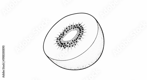Line art of a halved kiwi fruit showing its core and seeds