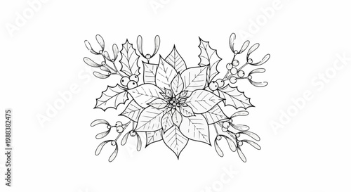 Delicate line art of a poinsettia and mistletoe with berries