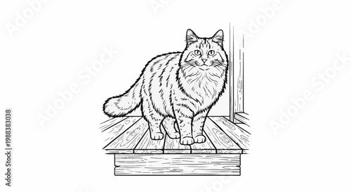 Fluffy cat with stripes stands on a wooden porch