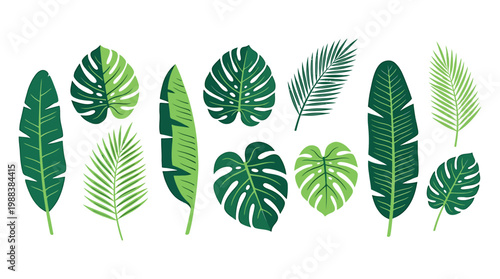 Diverse array of stylized green tropical leaves featuring various shapes, sizes, and textures 