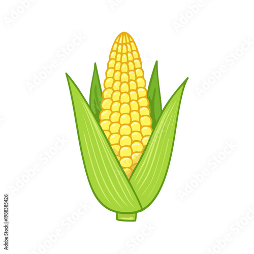 Cartoon illustration of a ripe ear of corn with green husks and yellow kernels