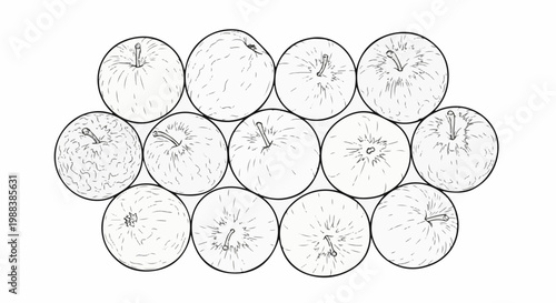 A variety of apples are depicted in a circular arrangement in a line-drawing