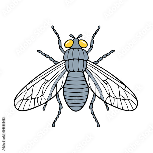 Stylized illustration of a common housefly with detailed wings and compound eyes