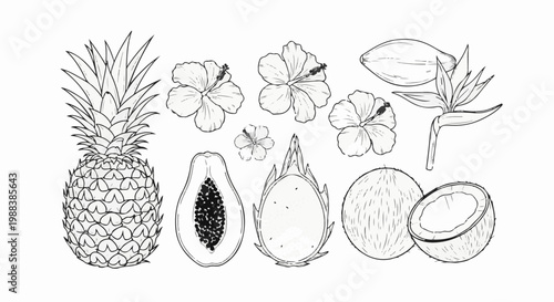 A tropical fruit and flower assortment with a pineapple, papaya, dragon fruit, coconuts, hibiscus, and bird of paradise