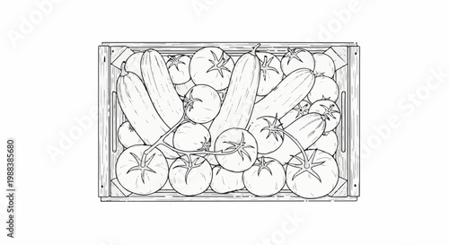 A vintage sketch shows a crate filled with fresh tomatoes and cucumbers