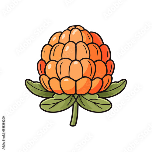 Cartoon Cloudberry Fruit Illustration with Green Leaves