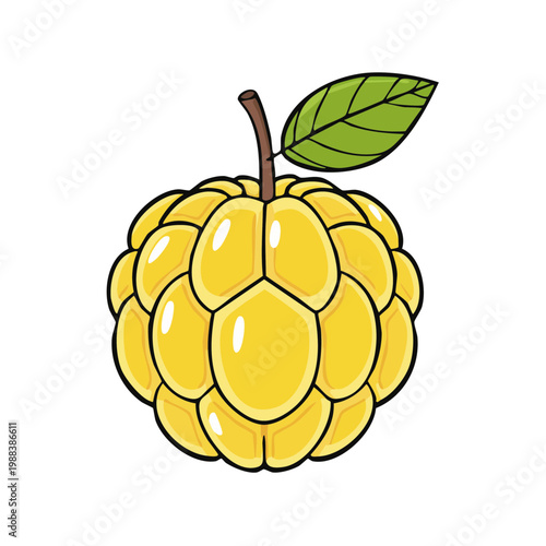 Bright Yellow Custard Apple Fruit Illustration with Green Leaf and Stem