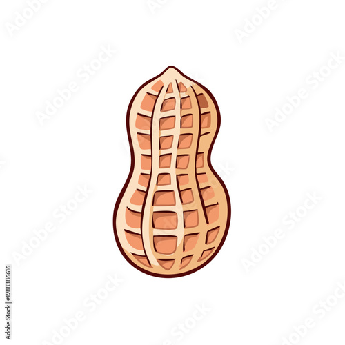 Illustration of a single, whole peanut in its shell with a textured surface and detailed lines