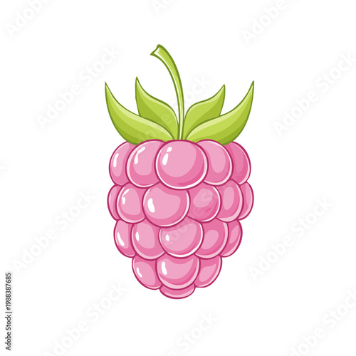 Cute Pink Raspberry Fruit Illustration Fresh Healthy Food Design