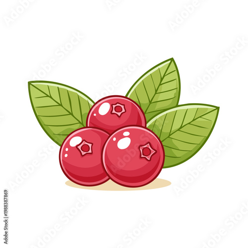 Bright red cranberries with vibrant green leaves in a stylized illustration