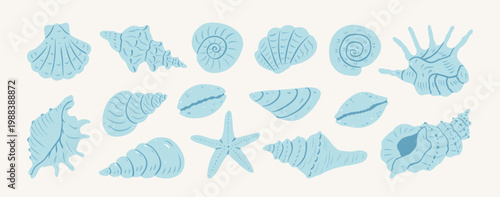Hand drawn blue seashells and starfish. Coastal ocean travel. Summer vacation design elements for trendy prints, label, menu cover. Tropical beach shells. Vector flat illustration.