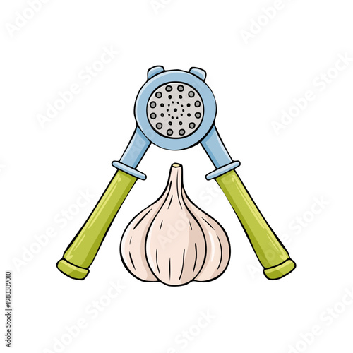 Kitchen utensil for crushing garlic cloves next to a whole garlic bulb