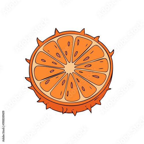 Kiwano fruit cross section showing pulp segments and spiky rind isolated on white