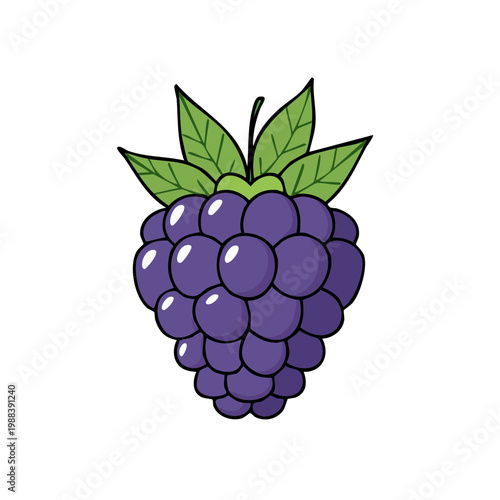 Vibrant Purple Blackberry Fruit Illustration With Green Leaves Healthy Food Concept