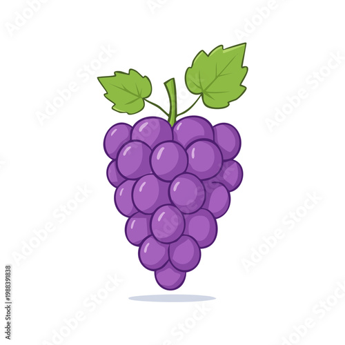 Fresh Bunch of Purple Grapes with Green Leaves