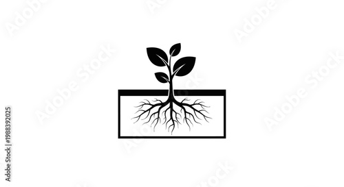 Black Plant Seedling with Roots in Rectangular Pot Icon