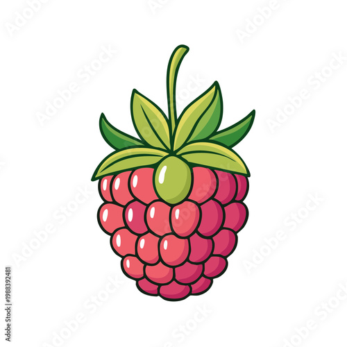 Vibrant cartoon raspberry with green leaves and stem, isolated on white