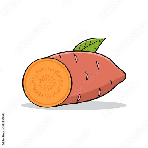 Hand-drawn illustration of a halved sweet potato showing its vibrant orange flesh and a green leaf