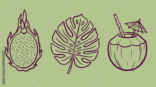 Silhouette tropical elements icons showing dragon fruit monstera leaf and coconut drink