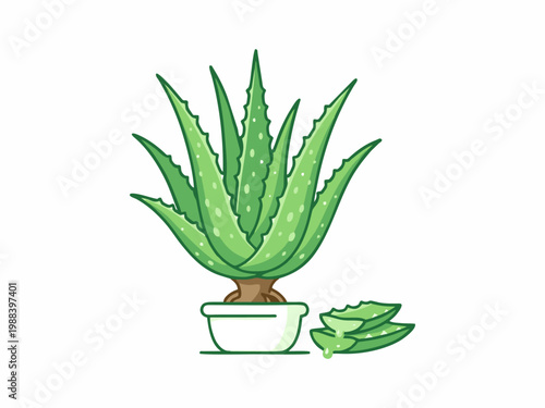 Aloe Vera Plant in White Pot with Cut Slices and Healing Gel Illustration
