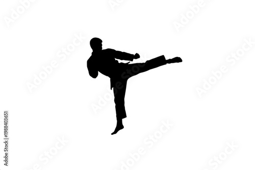 Dynamic Karate Silhouette: Capturing the power and precision of karate with a striking silhouette of a martial artist executing a high kick. It embodies strength, focus, and the spirit of discipline.