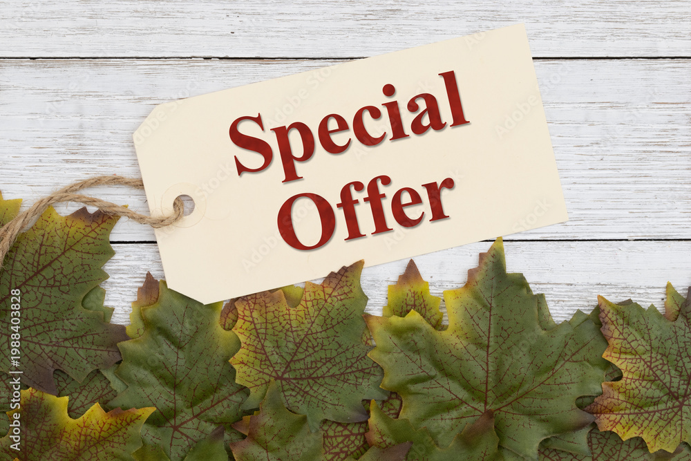 Obraz premium Special offer tag with autumn oak leaves