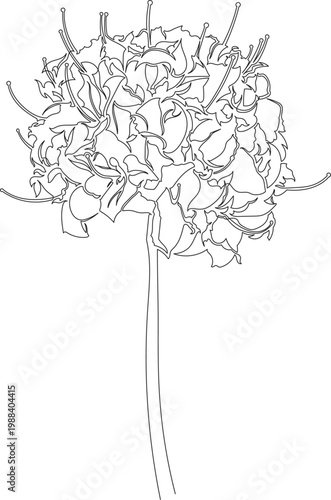 Continuous One Line Drawing of Azalea Flower