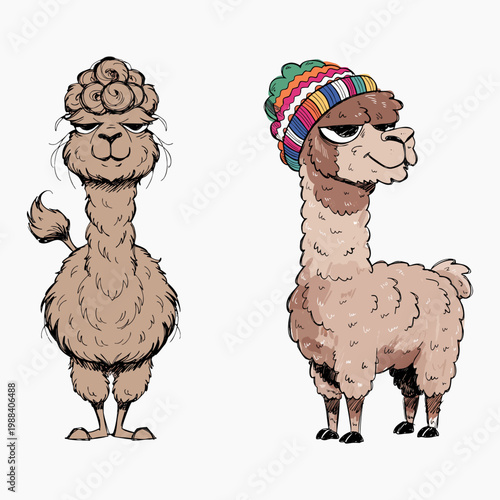 Vector set of two funny stylized llamas and alpacas on a white background