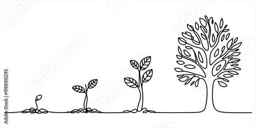 One line art illustration of the lifecycle of a tree from seedling to a large full grown plant. Vector, illustration