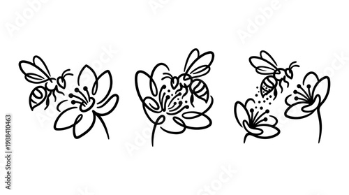 Delicate Bees Buzzing Around Beautiful Blooming Flowers in Spring.