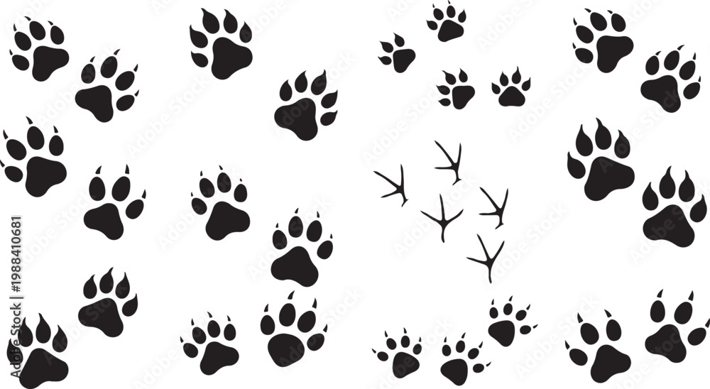 Fototapeta premium A diverse collection of black animal footprint silhouettes, including clawed predator paws and bird tracks.