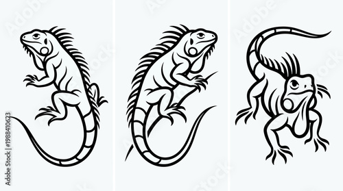 Detailed Black and White Illustrations of Iguana Reptiles Posing.